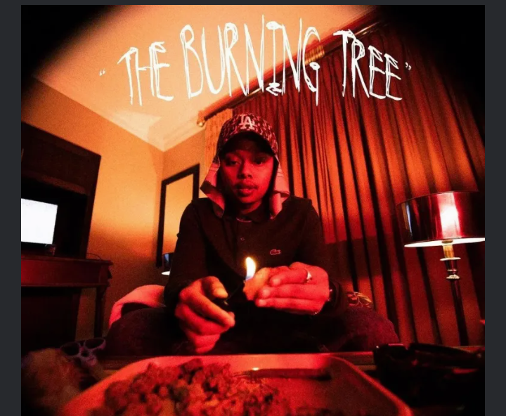 A-Reece-Picture-Me-Rollin-Ft-ImpThaDon-1.jpg