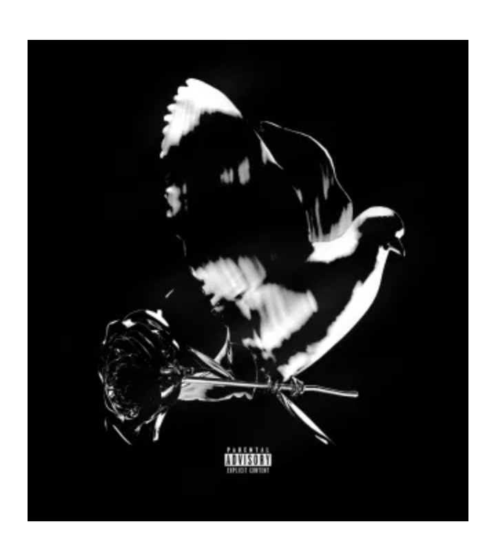 Album-Pop-smoke-For-The-Night-1.png
