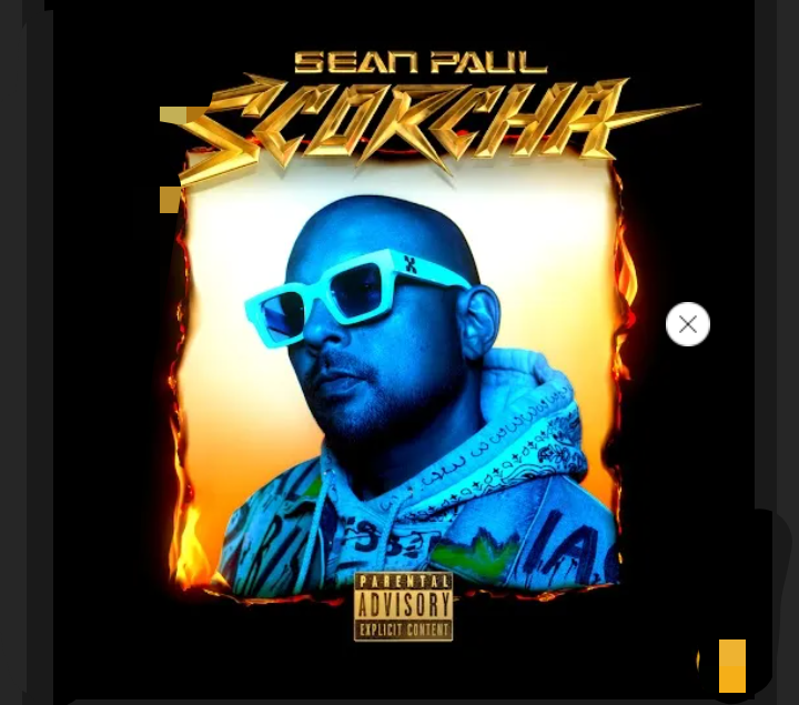 Sean-Paul-Wine-Up-1.jpg
