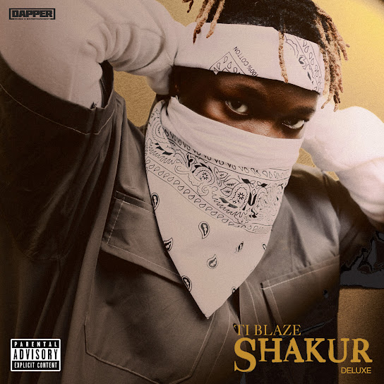 T-I-Blaze-Eko-1.jpg