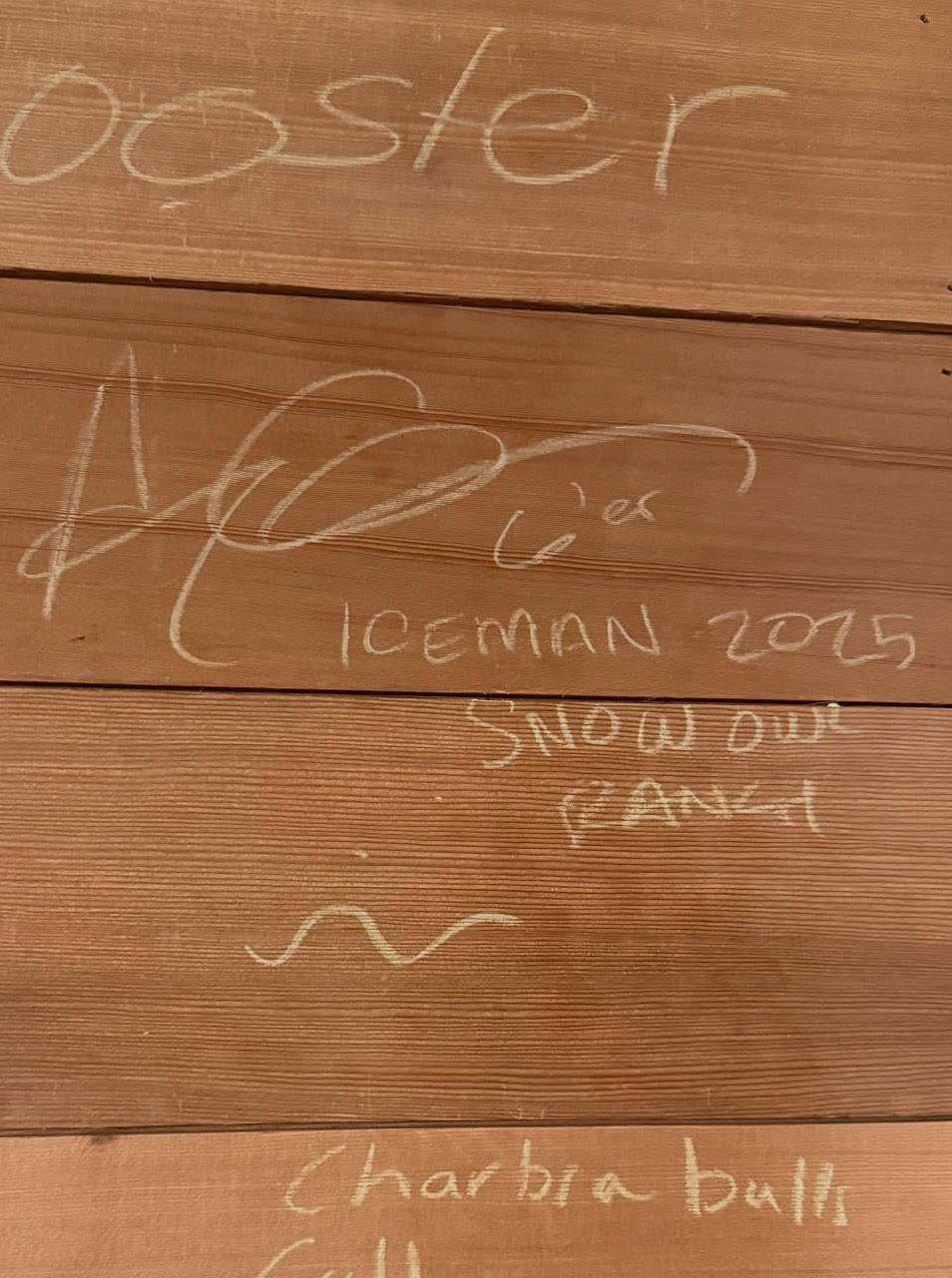 Iceman